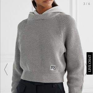 $425 Alexander Wang hooded sweater